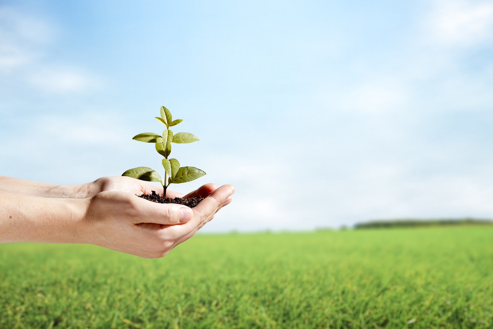 省節(jié)能協(xié)會袁亮秘書長、遂寧檢測公司戴云峰總經(jīng)理一行蒞臨天晟源環(huán)保座談交流