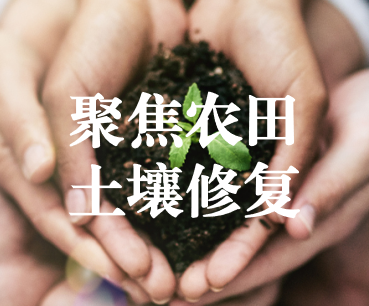 聚焦農(nóng)田土壤修復(fù)，保障糧食產(chǎn)品安全 ——踔厲奮發(fā)、篤行不怠，以奮斗之姿獻(xiàn)禮黨的二十大